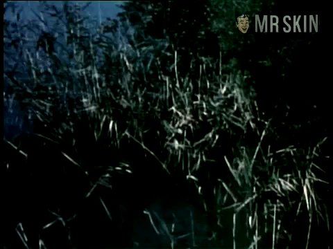 Gisela Hahn Nude Naked Pics And Sex Scenes At Mr Skin