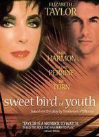 Sweet Bird of Youth