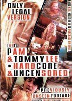 Pam & Tommy Lee: Stolen Honeymoon