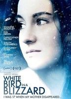 White Bird in a Blizzard