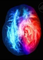 Brain on Fire