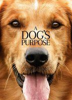 A Dog's Purpose