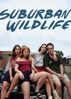 Suburban Wildlife