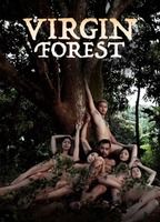Virgin Forest