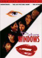 Picture Windows