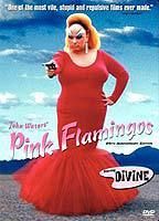 Pink Flamingos
