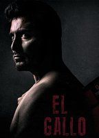 El Gallo