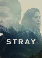 Stray